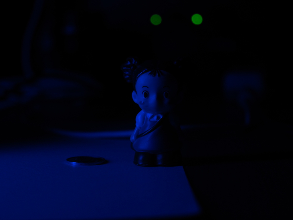 過去に撮影した写真