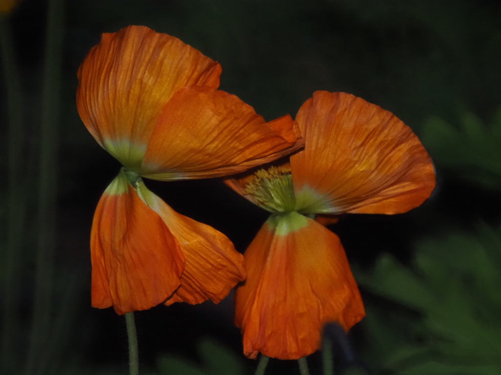 P2100753