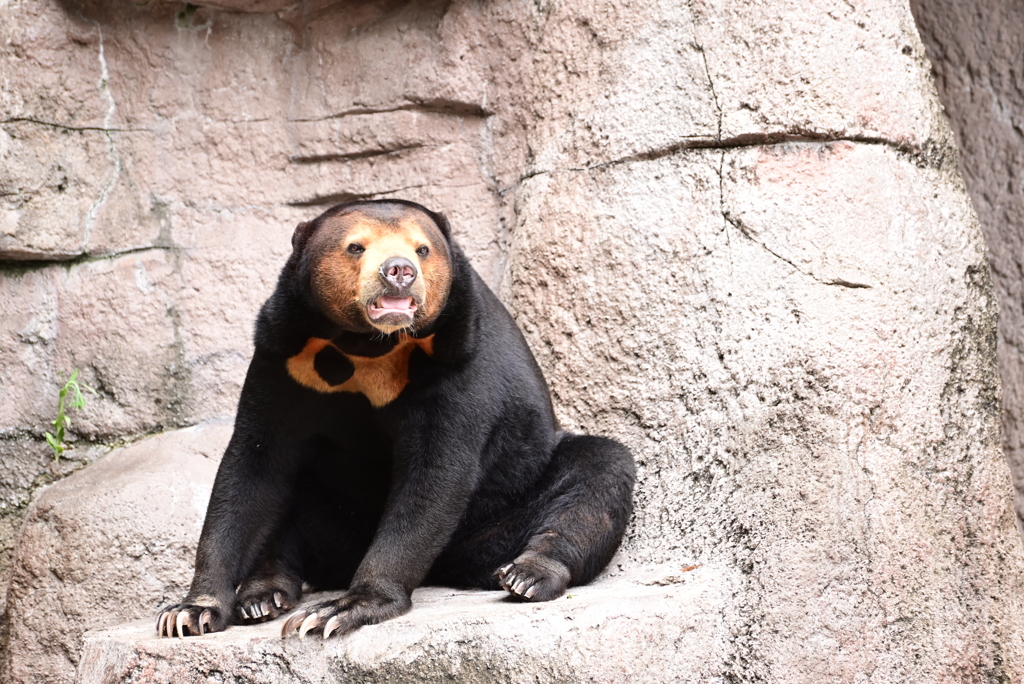 令和6年８月１０日の撮影⑨