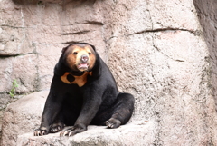 令和6年８月１０日の撮影⑨