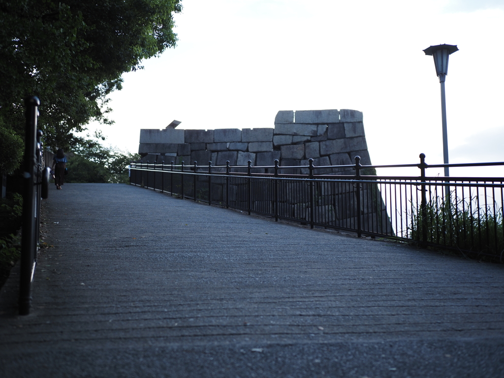 令和６年８月２４日の撮影