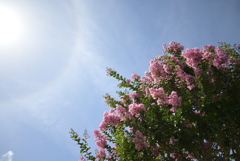 令和６年７月２７日長居公園　⑥