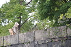 大阪城公園周辺
