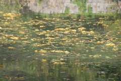 大阪城公園周辺