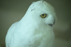 令和6年８月１０日の撮影㉚