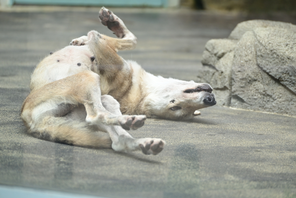 令和6年８月１０日の撮影㉝