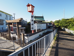 P7262460