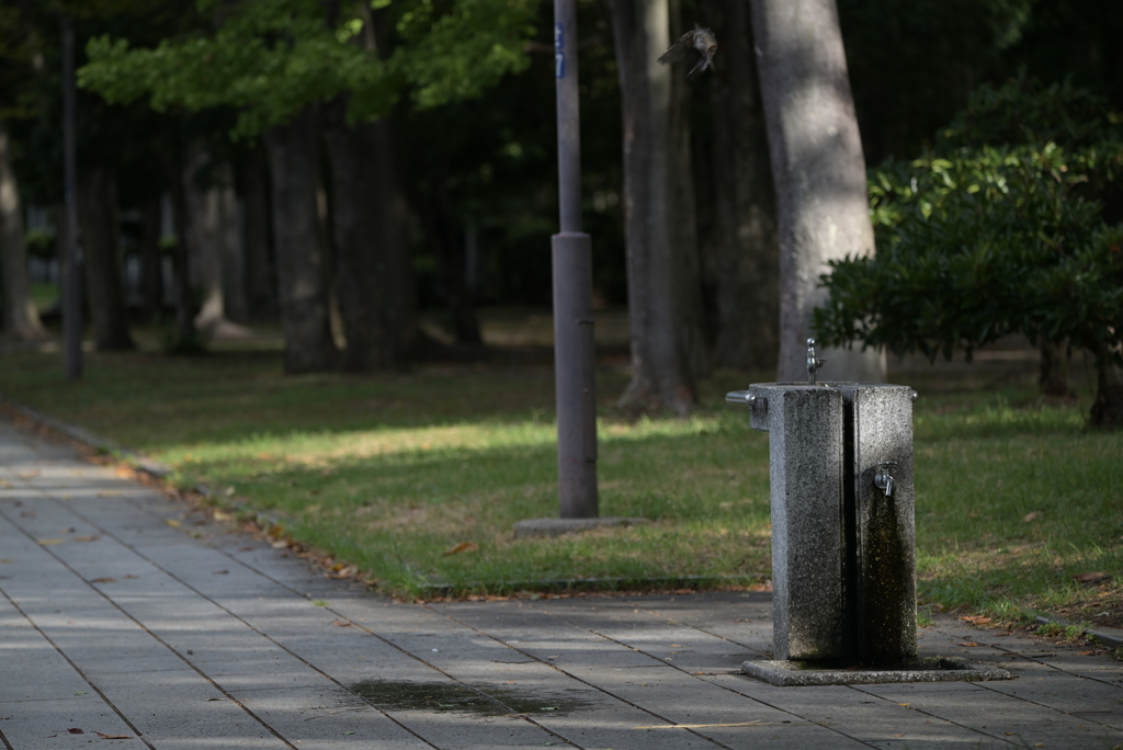 大阪城公園周辺