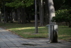 大阪城公園周辺