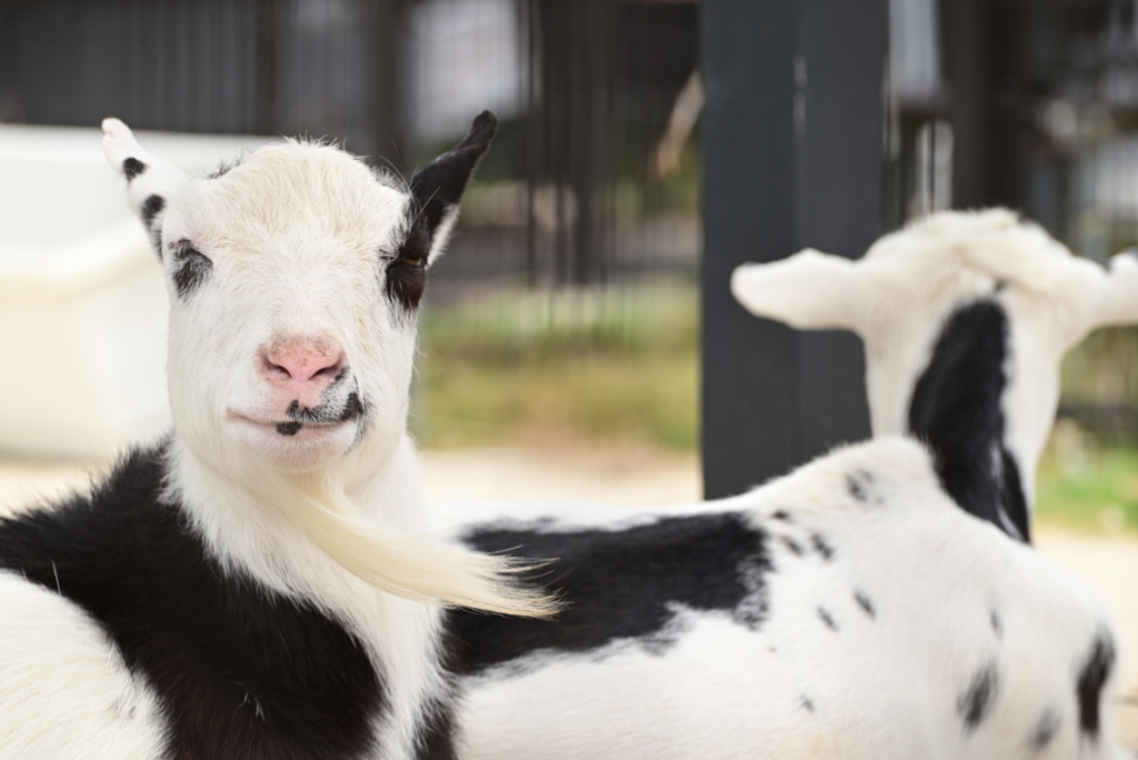 令和6年８月１０日の撮影①