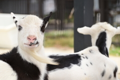 令和6年８月１０日の撮影①