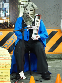 過去に撮影した写真