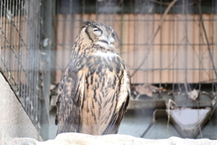 令和6年８月１０日の撮影㉗