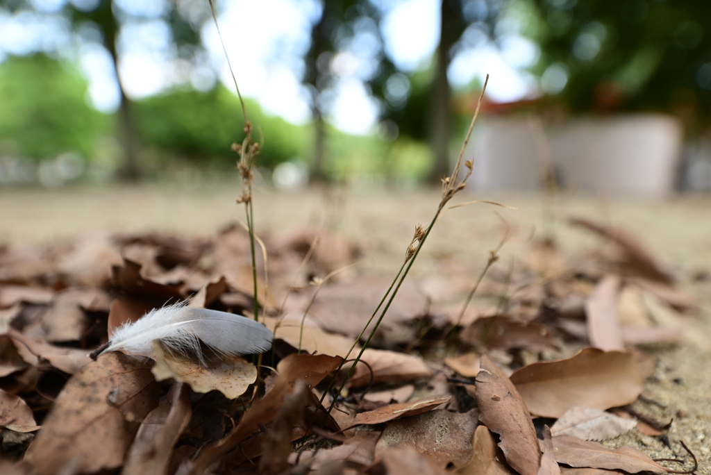 レタッチ前の作品