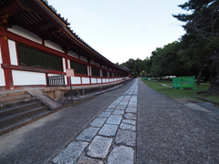P7190197