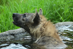 令和6年８月１０日の撮影⑱