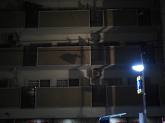 P9060056