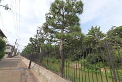 仁徳天皇陵古墳周辺