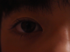 過去に撮影した写真