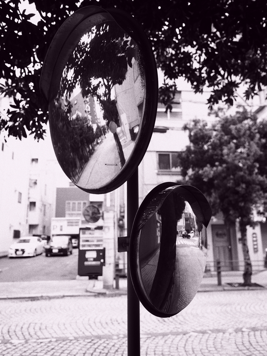 過去に撮影した写真