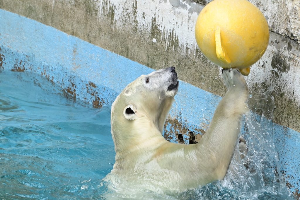 令和6年８月１０日の撮影⑫