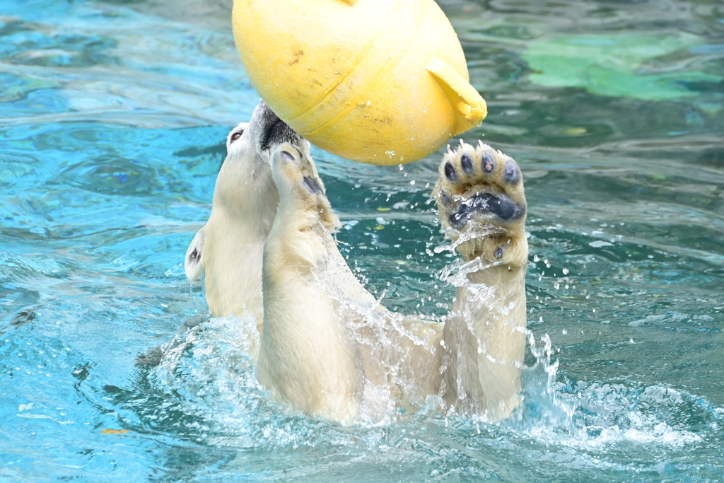令和6年８月１０日の撮影⑪
