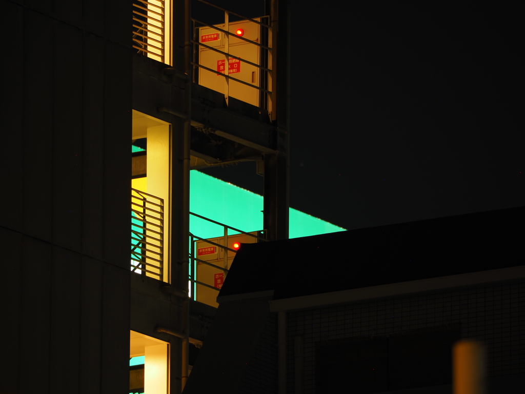 令和６年８月２４日の撮影