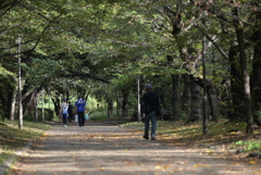 大阪城公園周辺