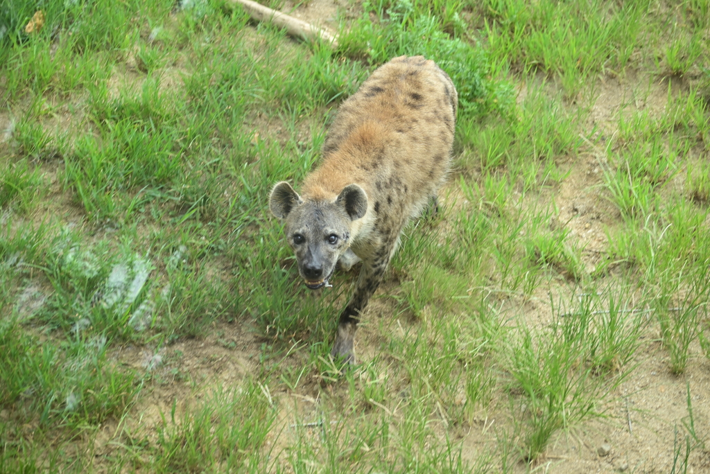 令和6年８月１０日の撮影㉒