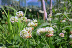 初めてレッタチしたもの投稿しました。