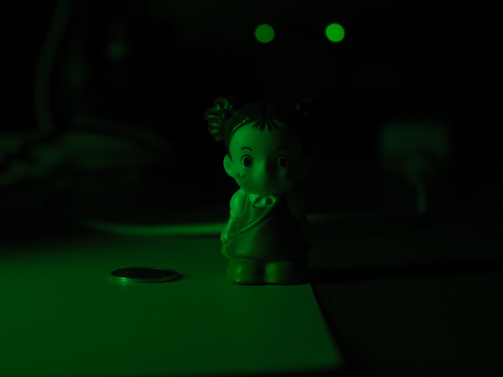 過去に撮影した写真