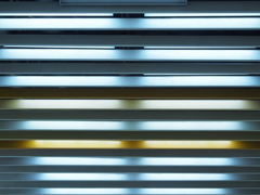 過去に撮影した写真