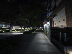 P7190284