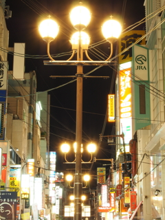 過去に撮影した写真