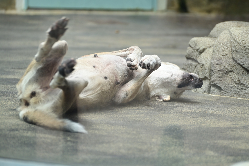 令和6年８月１０日の撮影㉜