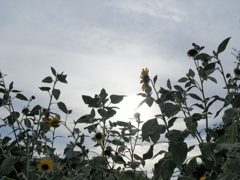 令和６年８月２４日の撮影