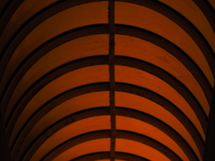 令和６年８月２４日の撮影