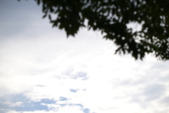 大阪城公園周辺