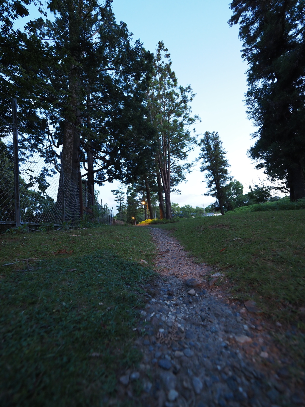 P7190222