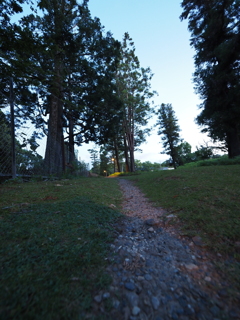 P7190222