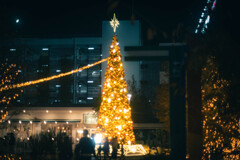 The Christmas Tree