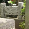 鳩