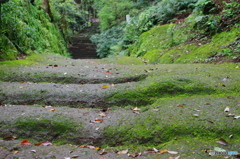 一枚岩を削った参道の石段