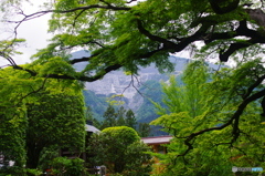 花の寺からの武甲山
