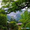 花の寺からの武甲山