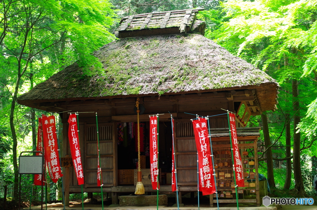 ツツジの寺の薬師堂