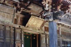 東国花の寺百ヶ寺 飯山観音 長谷寺