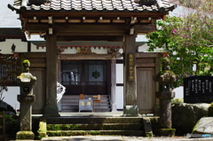花の寺 長安寺