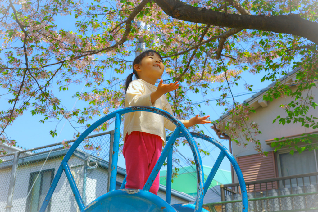 散る桜を感じる娘