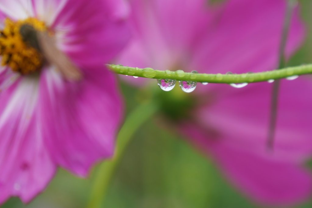 雨上がり